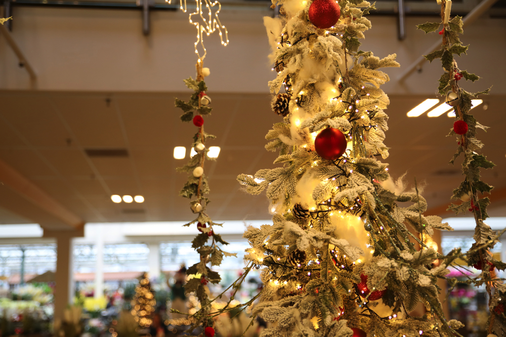 Oosterik Weihnachten 2022 Gartencenter Oosterik Weihnachtsbeleuchtung Alles für Innen und Außen